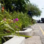 Large-scale modular building techniques